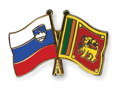 Fahnen Pins Slowenien Sri-Lanka