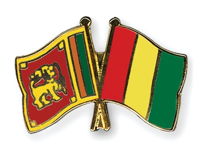 Fahnen Pins Sri-Lanka Guinea