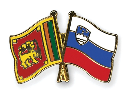 Fahnen Pins Sri-Lanka Slowenien