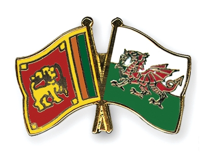 Fahnen Pins Sri-Lanka Wales