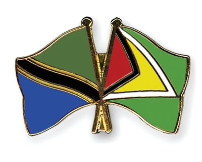 Fahnen Pins Tansania Guyana