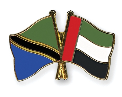 Fahnen Pins Tansania Ver-Arab-Emirate