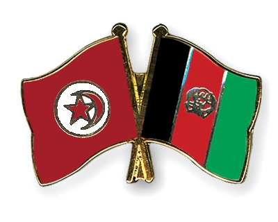 Fahnen Pins Tunesien Afghanistan