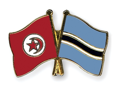 Fahnen Pins Tunesien Botsuana