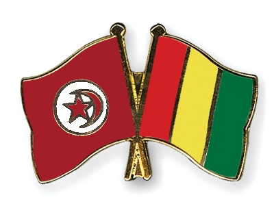 Fahnen Pins Tunesien Guinea
