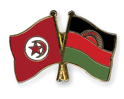 Fahnen Pins Tunesien Malawi