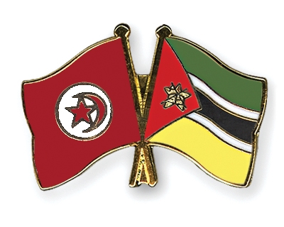 Fahnen Pins Tunesien Mosambik