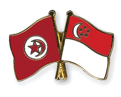 Fahnen Pins Tunesien Singapur