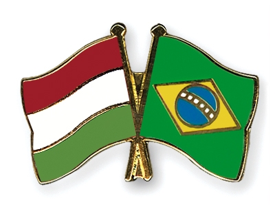 Fahnen Pins Ungarn Brasilien