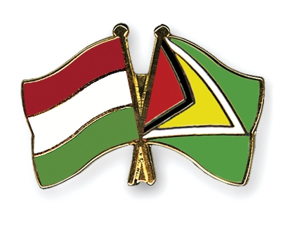 Fahnen Pins Ungarn Guyana