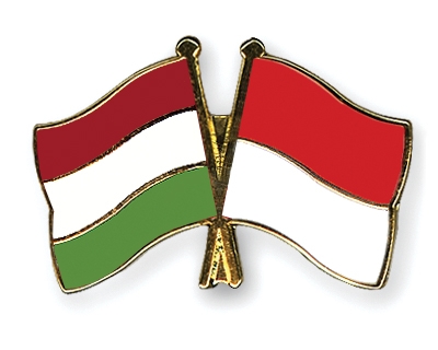 Fahnen Pins Ungarn Indonesien