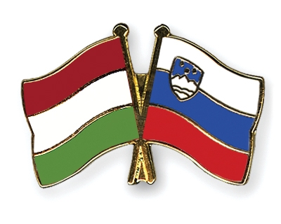 Fahnen Pins Ungarn Slowenien