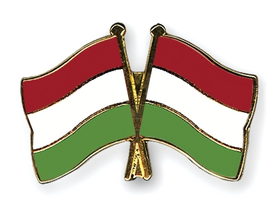 Fahnen Pins Ungarn Ungarn