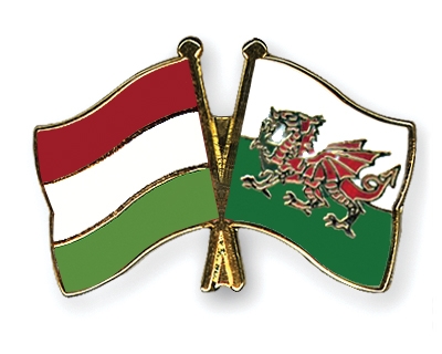Fahnen Pins Ungarn Wales