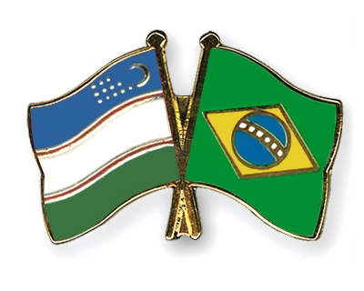 Fahnen Pins Usbekistan Brasilien