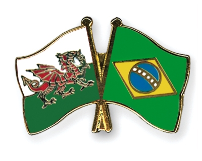 Fahnen Pins Wales Brasilien
