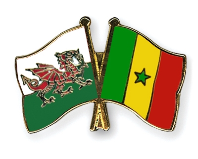 Fahnen Pins Wales Senegal