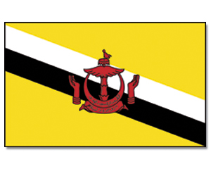 Fahnen Brunei-Darussalam