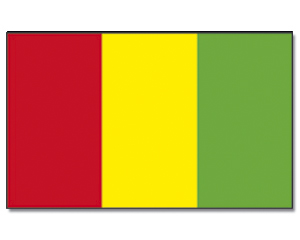 Fahnen Guinea
