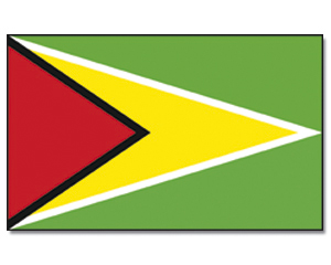 Fahnen Guyana