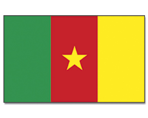 Fahnen Kamerun