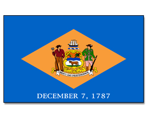 Flag Delaware 90 x 150