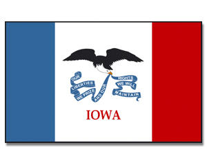Fahne Iowa 90 x 150