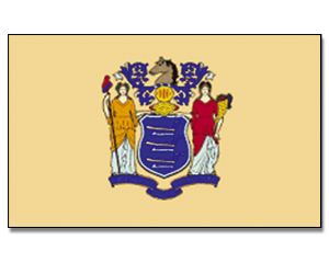 Flag New Jersey 90 x 150