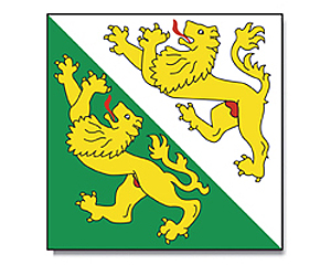 Fahne Thurgau 150 x 150