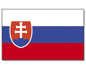 Fahnen Slowakei 30 x 45