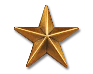 Pins Stern goldfarben (matt) 15 mm